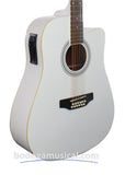 Guitarra Docerola Segovia Electroacustica Blanca 12 Cuerdas